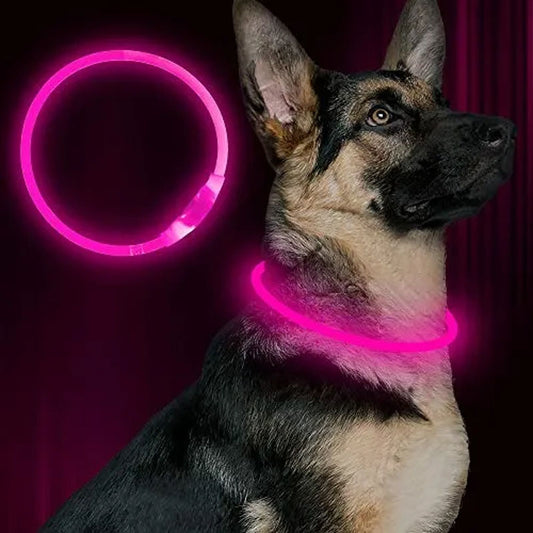 Collar LED Recargable para Mascotas